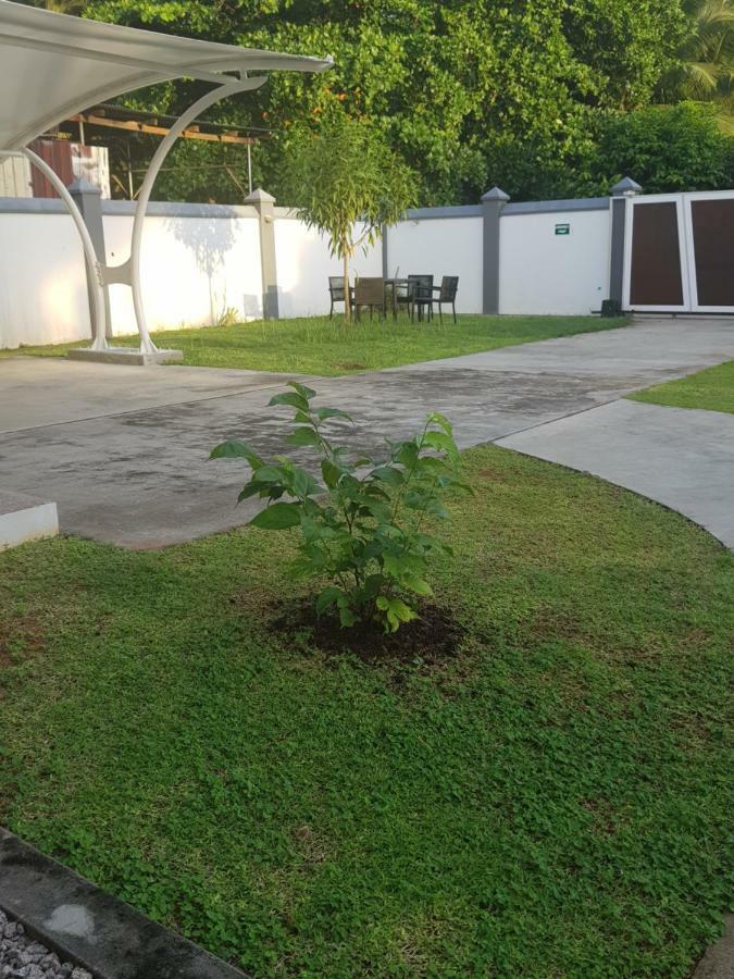 Maison Cattleya Selfcatering Apartment Anse Royale Luaran gambar